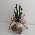 Apartma Pinea Apartment