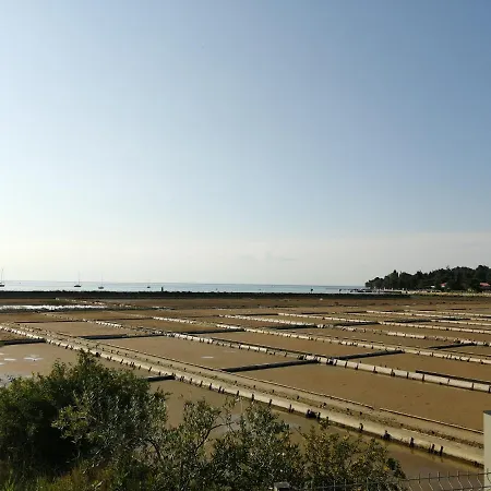 Apartma Pinea Apartment