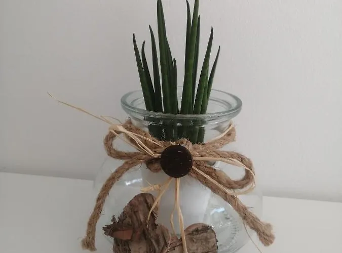 Apartma Pinea Lägenhet