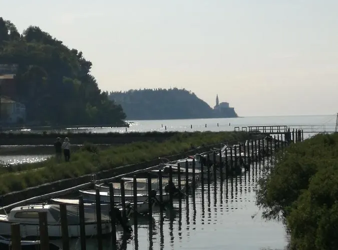 Lägenhet Apartma Pinea *