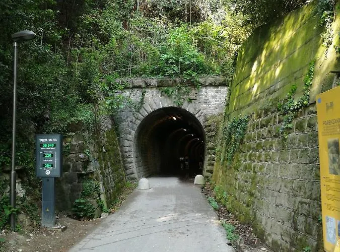 Apartment Apartma Pinea *