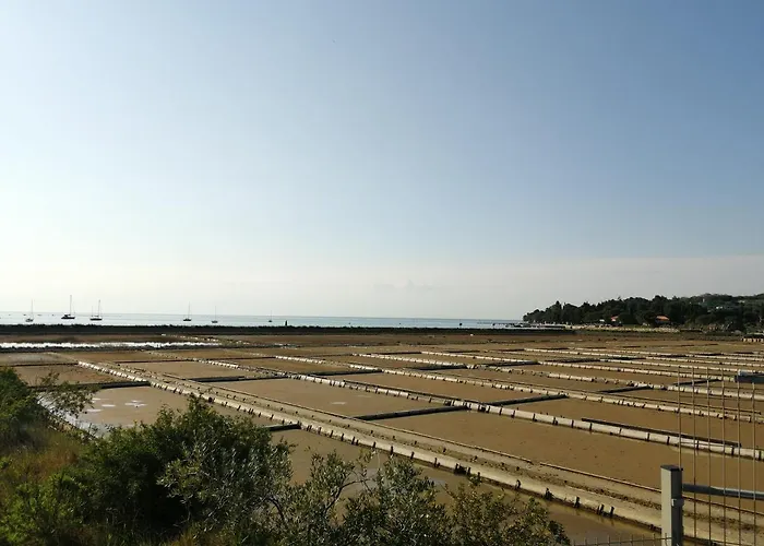 Apartma Pinea Apartament