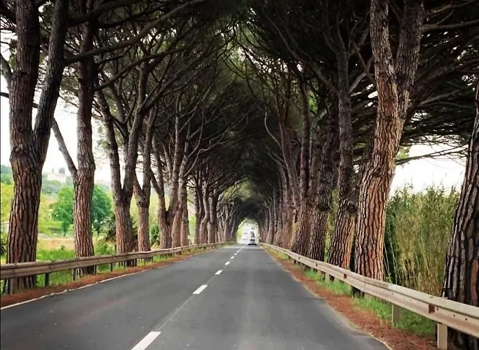 Apartma Pinea Apartament Portorož